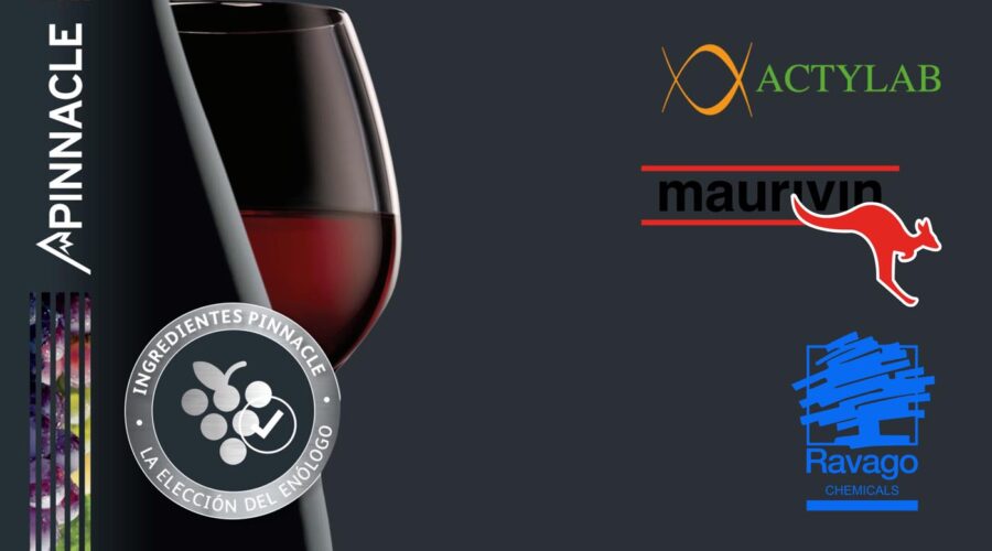 Soluciones enológicas de vanguardia para inspirar el futuro de los vinos ‘premium’